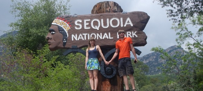 Die Sequia-Riesen im Kings Canyon