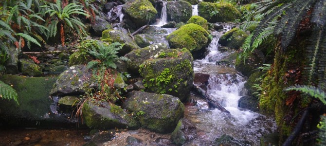 Nelson Lakes Nationalpark und Motueka