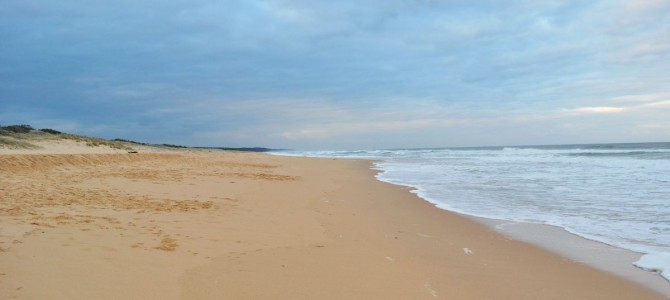 Entlang des 90-Mile-Beaches Entlang des 90-Mile-Beaches