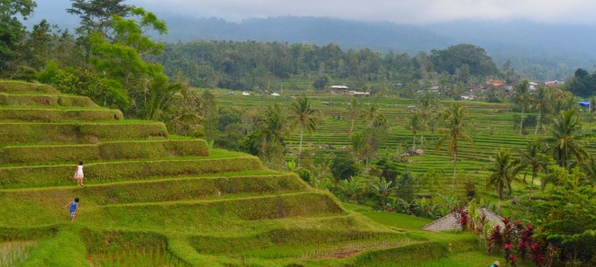 Mit dem Roller durch Bali xD