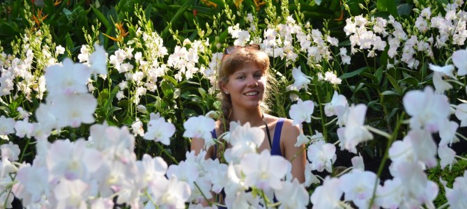 Singapur #1 Singapur #1