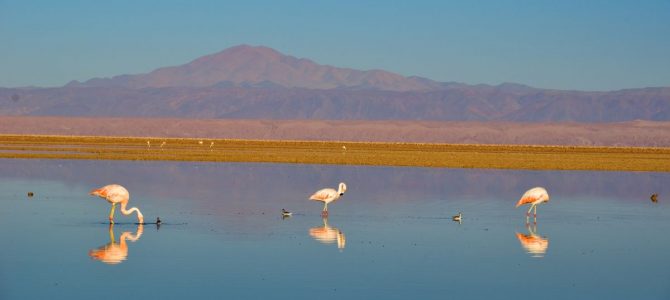 San Petro und die Atacamawüste :)